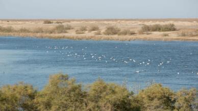 بحيرة ساوة العراقية