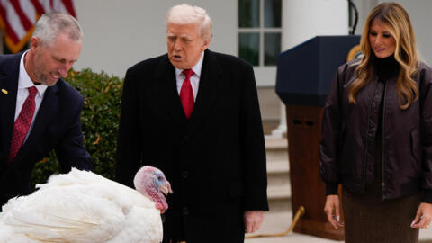 الرئيس دونالد ترامب والسيدة الأولى ميلانيا ترامب يقفان بجانب الديك الرومي الوطني "غوبل" خلال مراسم العفو في حديقة الورود بالبيت الأبيض، يوم الثلاثاء 25 نوفمبر/تشرين الثاني 2025، في واشنطن.