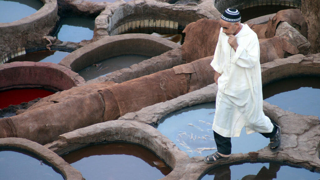 دباغة الجلود في فاس: من حرفة إلى صناعة - ريبورتاج ثقافي