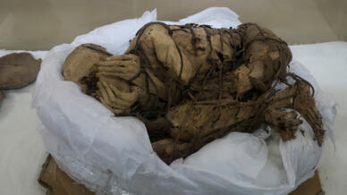 اكتشاف مومياء في البيرو عمرها بين 800 و1200 عام