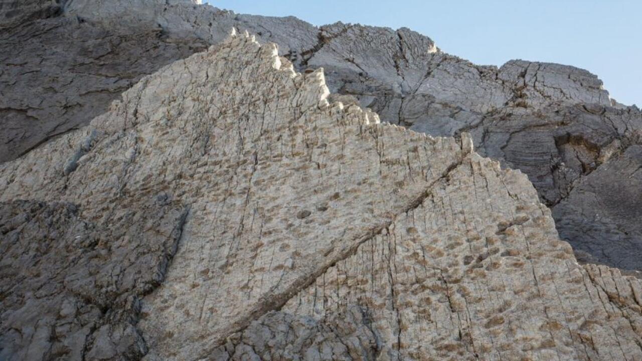 النشرة العلمية - أكبر مجموعة أوروبية لآثار أقدام ديناصورات وجدت في شمال إيطاليا